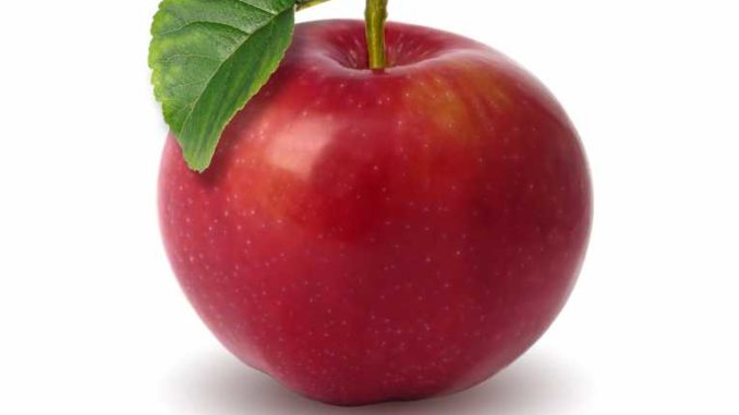apple-05