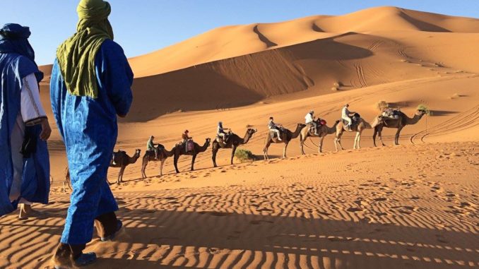 The Wearing Of the Green (and Gold): Camel's Nose, Meet Tent